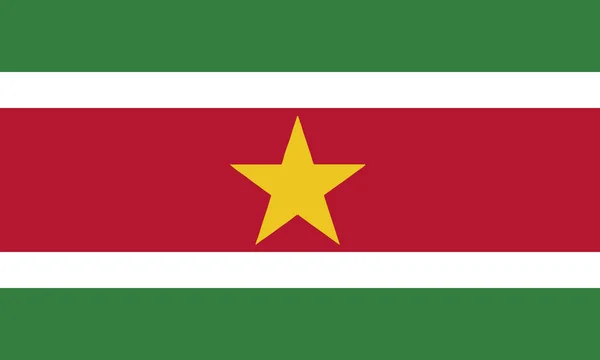 Gedetailleerde Illustratie Nationale Vlag Suriname — Stockvector