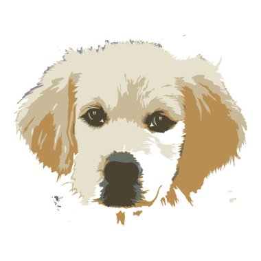 Yaratıcı çizim altın geri almak. Sanat insan ilham verir. Grafik tasarım için büyük bir tasarım bir köpek bu çizimdir. Sanatsal ilham illüstrasyon