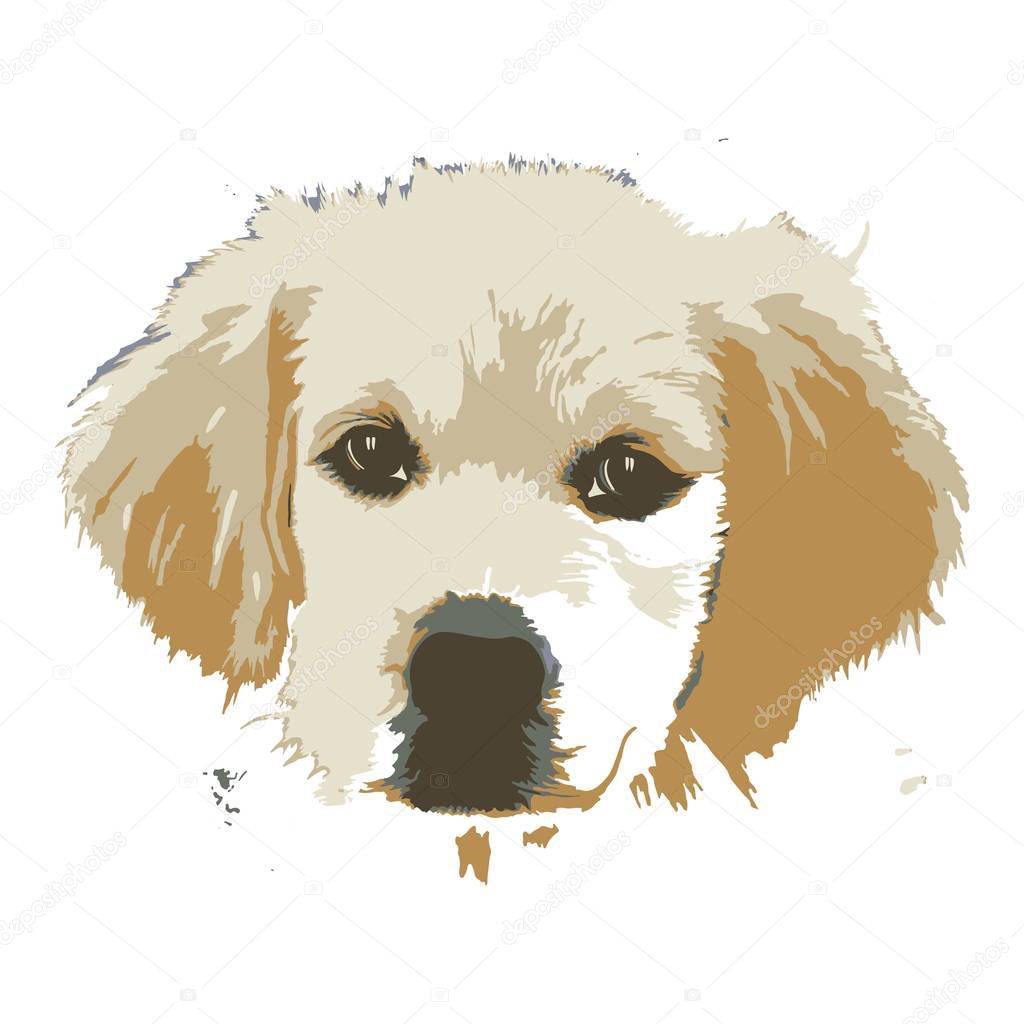 Creative drawing golden retriever. Art inspires people. This drawing of a dog is a great design for the graphic design. Artistically inspired the illustration