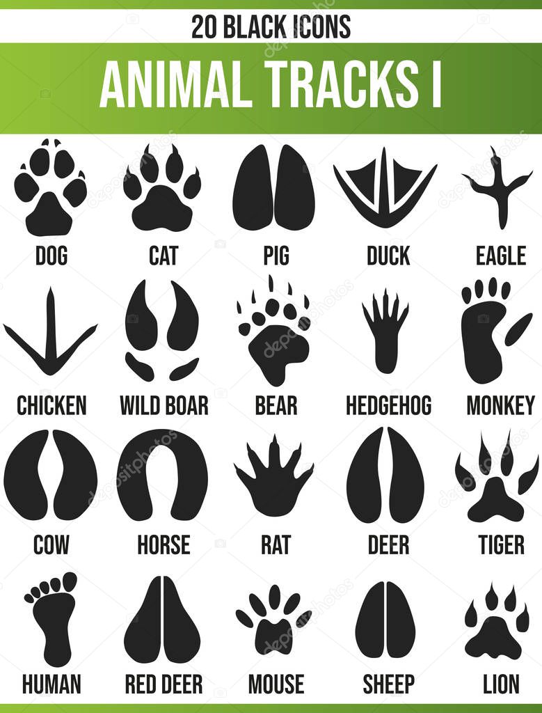 Black Piktoramme / icons on traces of animals. This icon set is perfect for creative people and designers who need the theme traces of animals in their graphic designs