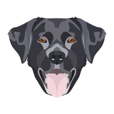 İllüstrasyon siyah Labrador