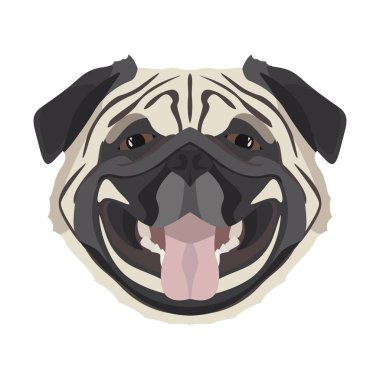 İllüstrasyon Pug 