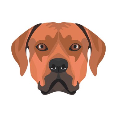 İllüstrasyon Rhodesian Ridgeback