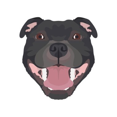 İllüstrasyon Staffordshire Bull Terrier