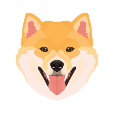 İllüstrasyon Shiba Inu 