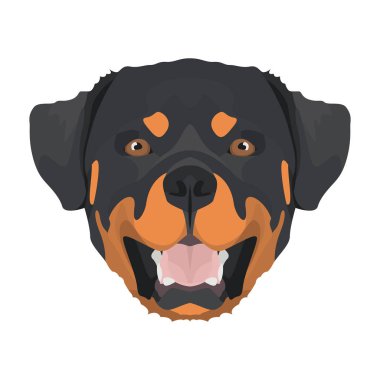 İllüstrasyon Rottweiler