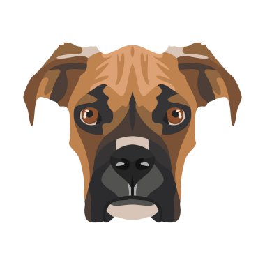 iillustration beroepen pictogrammen