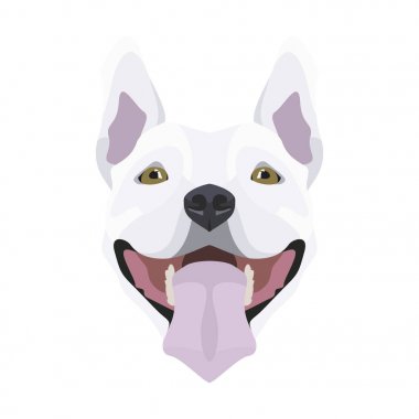 İllüstrasyon Boğa Terrier