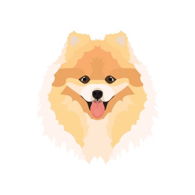 İllüstrasyon Chowchow