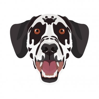 İllüstrasyon Dalmaçyalı