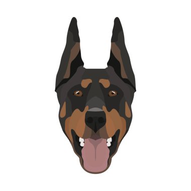 İllüstrasyon Doberman
