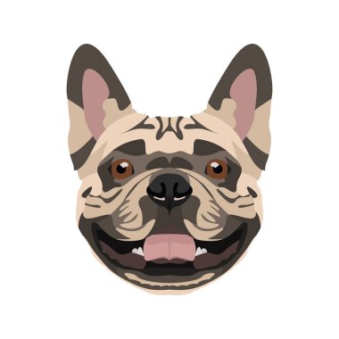 İllüstrasyon Fransız Bulldog