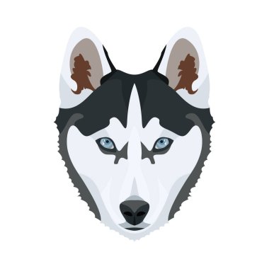 İllüstrasyon Husky