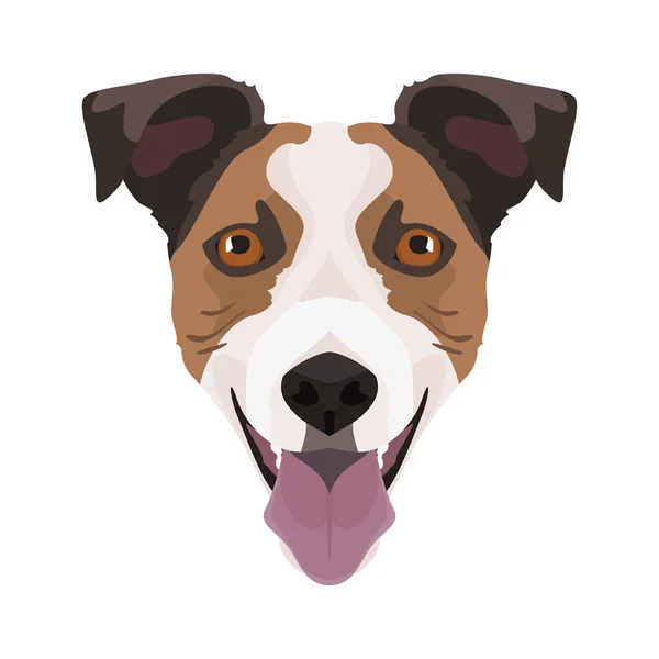 Ilustración Jack Russell Terrier — Vector de stock