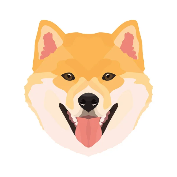 İllüstrasyon Shiba Inu 