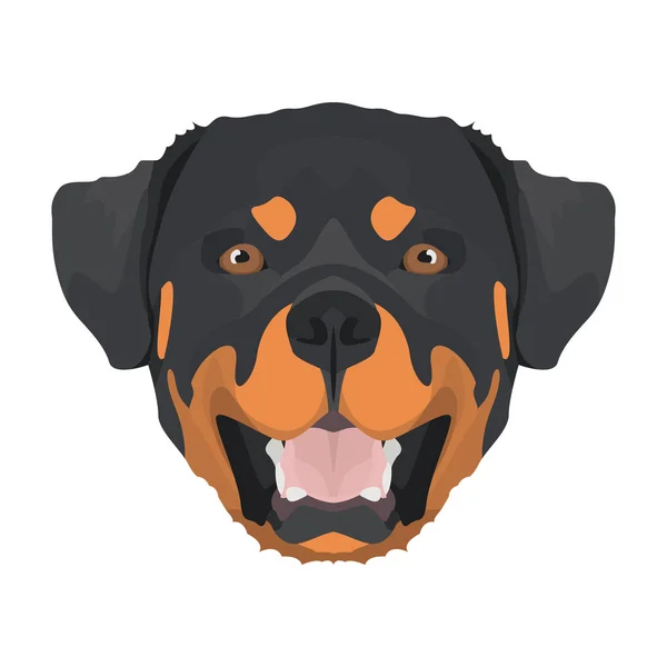 Rottweiler illusztráció — Stock Vector