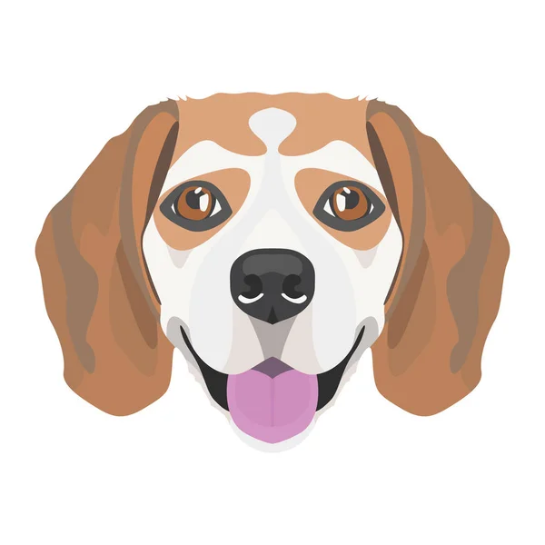 Illustration Beagle — Image vectorielle
