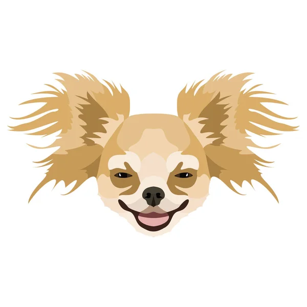 Illustratie Chihuahua — Stockvector