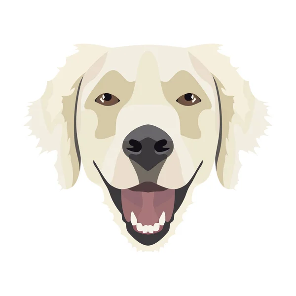 Ilustração Golden Retriever —  Vetores de Stock