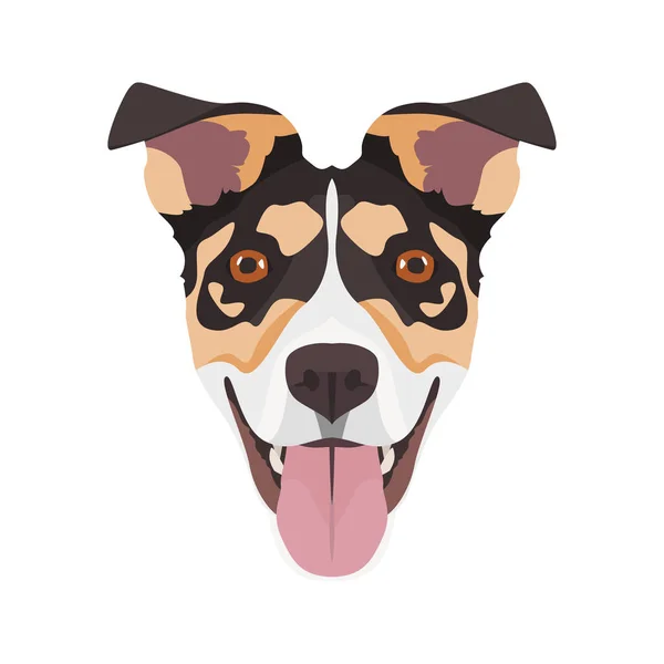 Illustratie Jack Russell Terrier — Stockvector