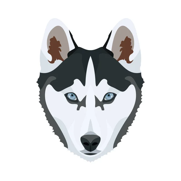 Illustratie Husky — Stockvector