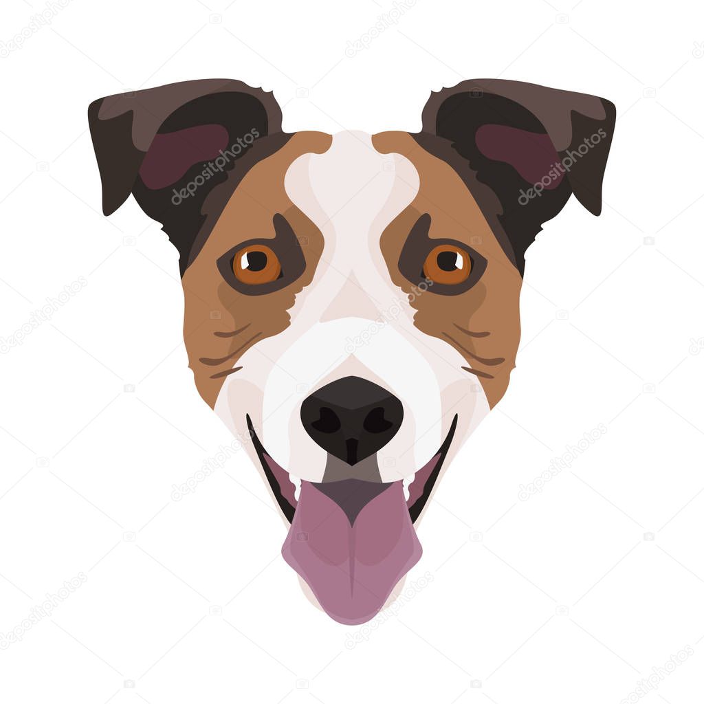 Illustration Jack Russell Terrier 