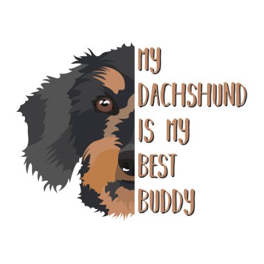 En iyi arkadaş Dachshund