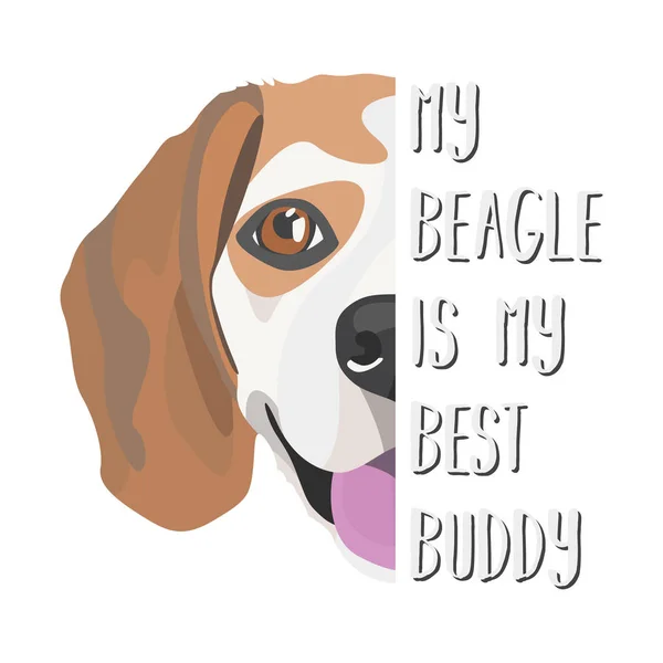 Illustratie beagle — Stockvector