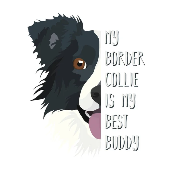 Mejor amigo frontera Collie — Vector de stock
