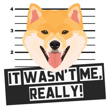 Mugshot sabıka fotoğrafı Shiba Inu 