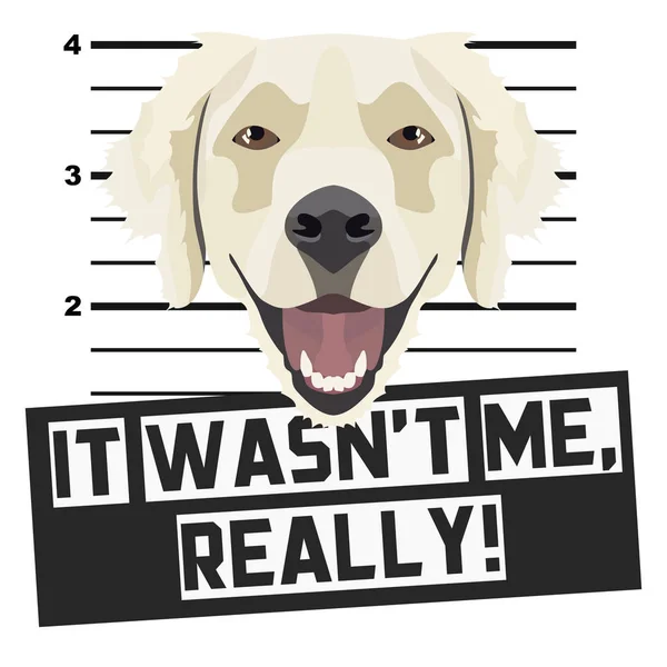 Taza Mugshot tiro Golden Retriever — Archivo Imágenes Vectoriales