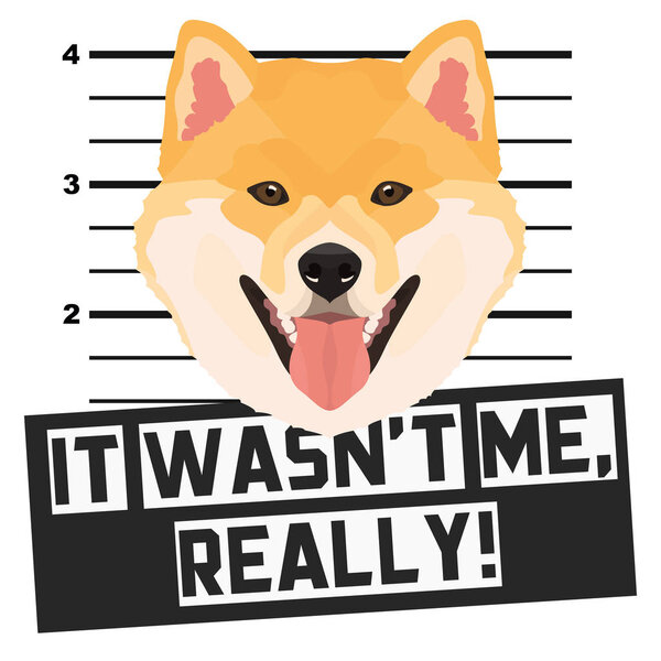 Mugshot mug shot Shiba Inu 