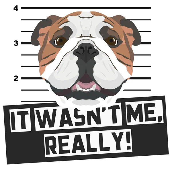 Mugshot taza disparo Inglés Bulldog — Archivo Imágenes Vectoriales