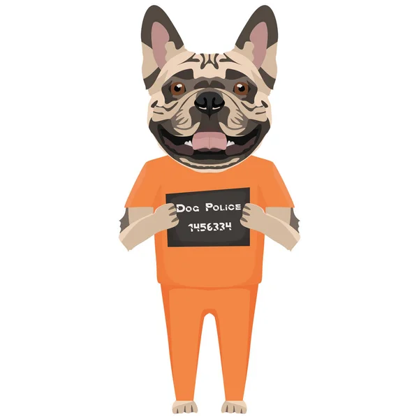 Mugshot prisión ropa perro francés Bulldog — Vector de stock