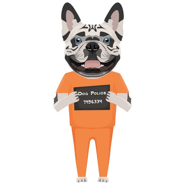 Mugshot prisión ropa perro francés Bulldog — Archivo Imágenes Vectoriales