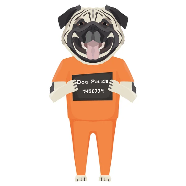 Mugshot prisión ropa perro Pug — Vector de stock