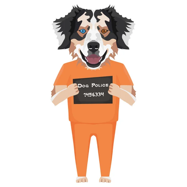 Mugshot prisión ropa perro australiano pastor — Archivo Imágenes Vectoriales