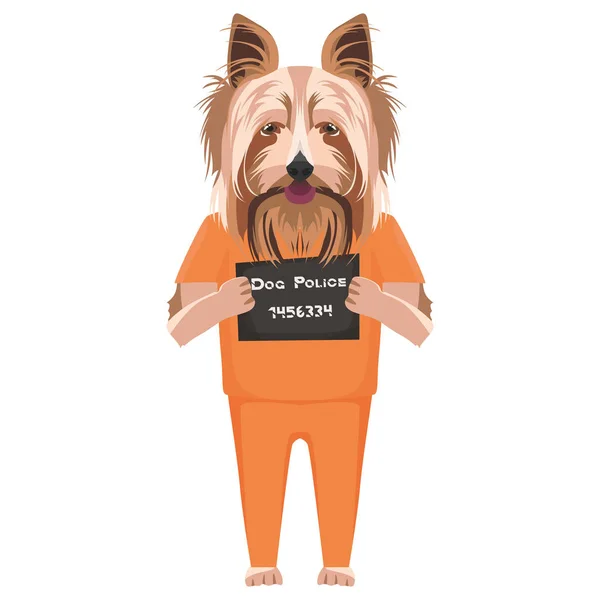 Mugshot fängelse kläder hund Yorkshire Terrier — Stock vektor