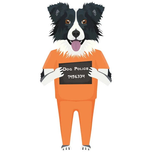 Mugshot fängelse kläder hund Border Collie — Stock vektor