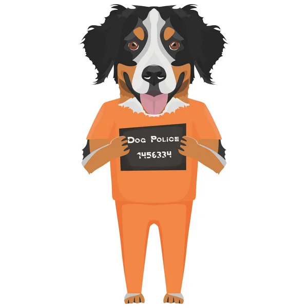 Mugshot fängelse kläder dog Bernese Mountain dog — Stock vektor