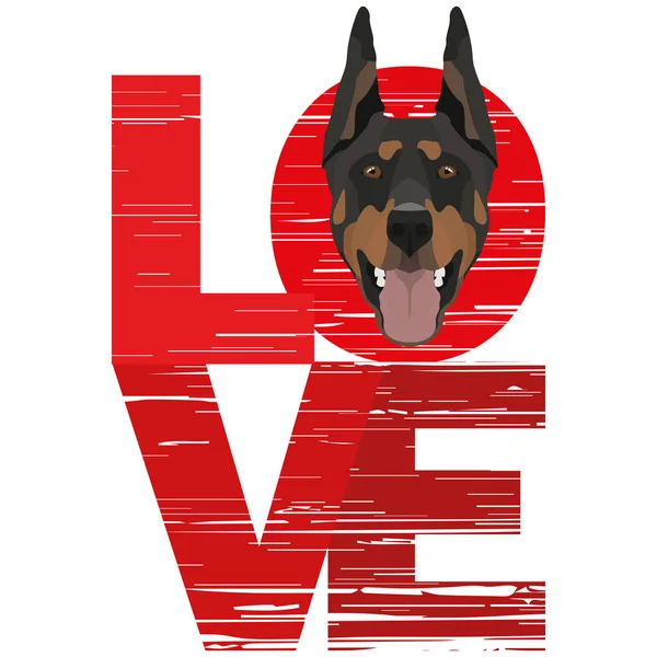 Amor Doberman — Vector de stock