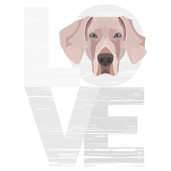 Amor Weimaraner — Vector de stock