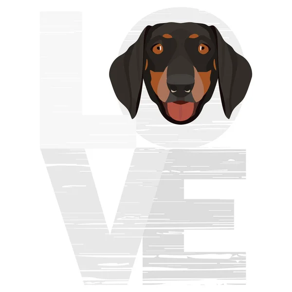 Amor Dachshund — Vector de stock