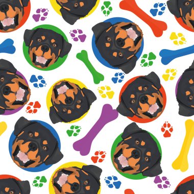 Renkli ve eğlenceli Rottweiler