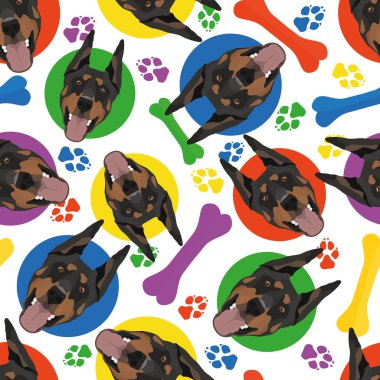 Renkli ve eğlenceli Doberman