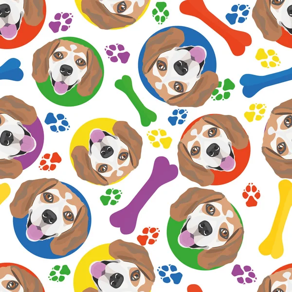 Colorful and playful beagle