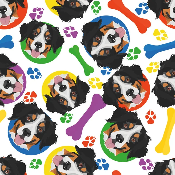 Colorful and playful Bernese Mountain Dog