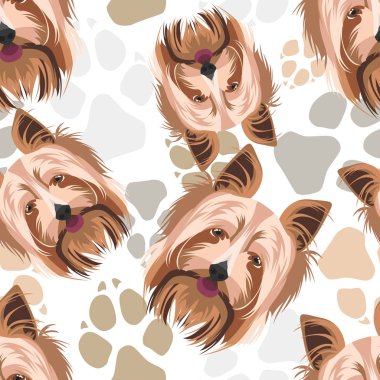 Desen Köpek Paws Yorkshire Terrier