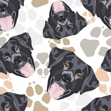 Köpek pençeleri desen siyah Labrador
