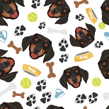 Gülen Köpek Dachshund
